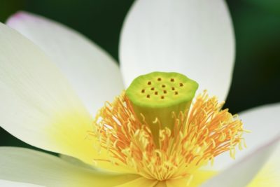 26999